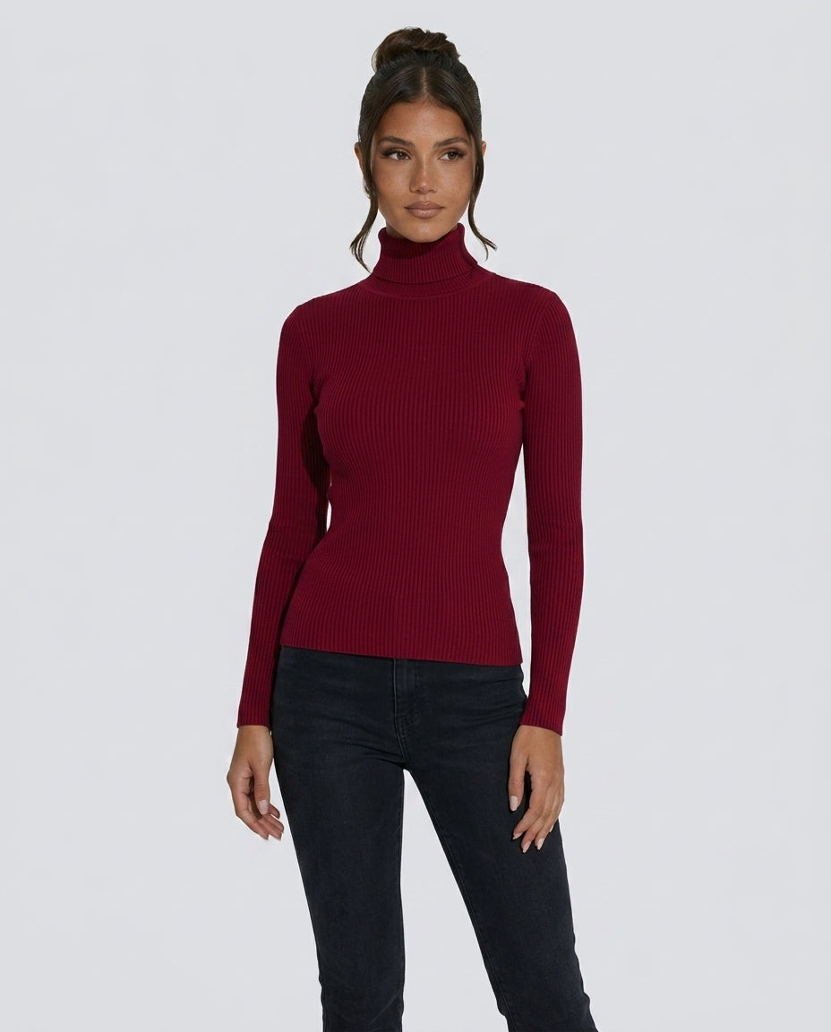 The Pure Ribbed Turtleneck